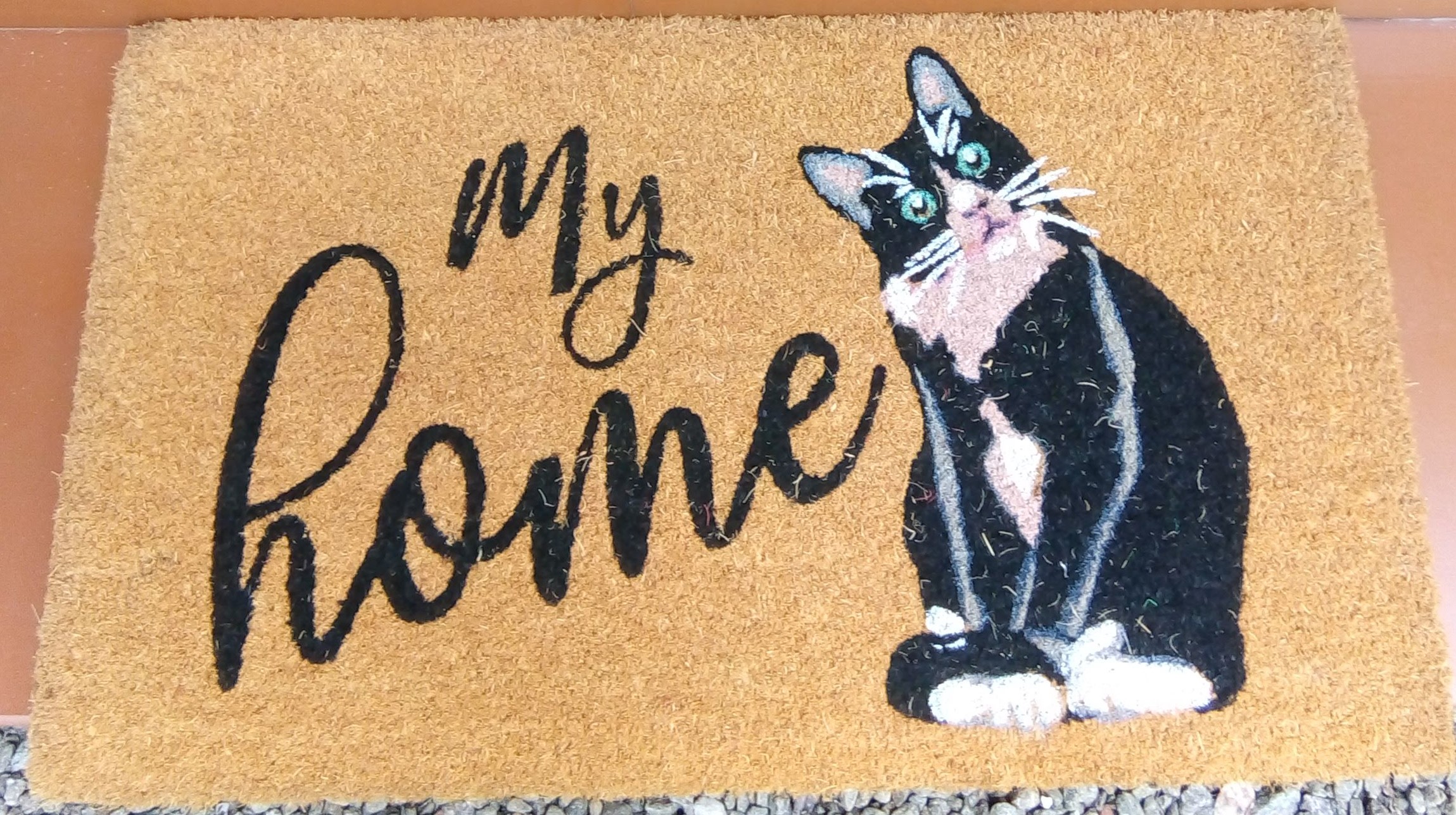 IMG_20231031_104230 CROPPED